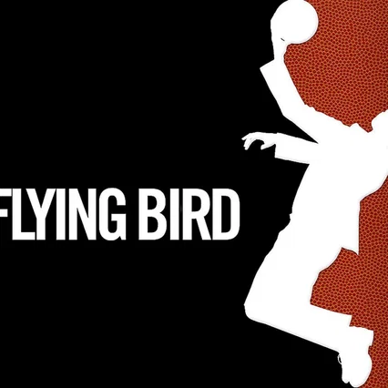 Miniature photo du film : High Flying Bird