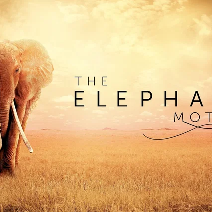 Miniature photo du film : The Elephant Mother