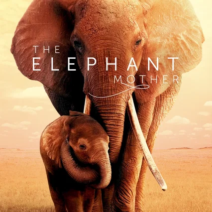 Miniature photo du film : The Elephant Mother