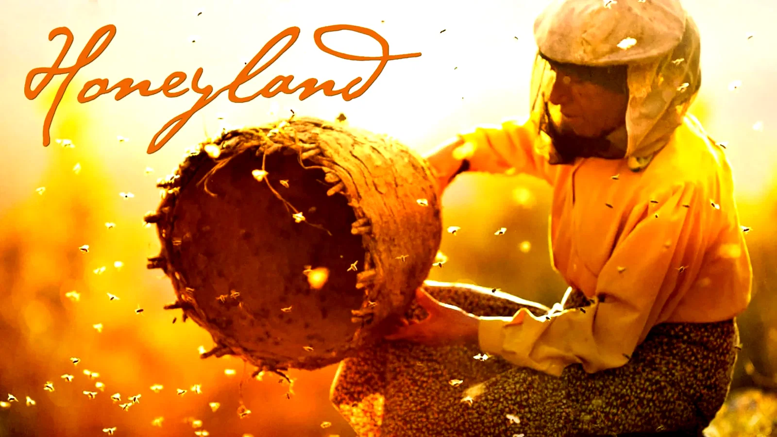 Photo 1 du film : Honeyland