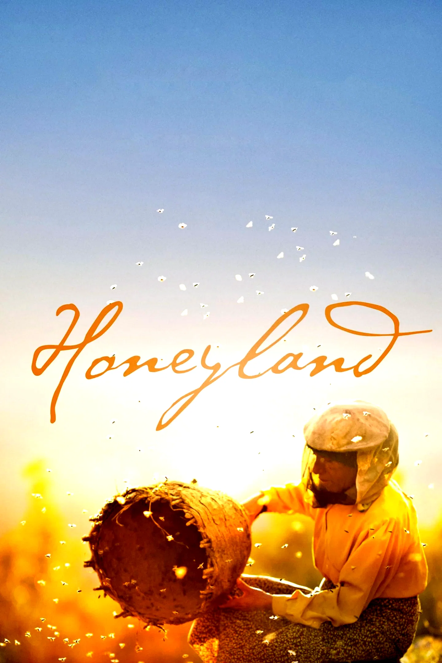 Affiche du film : Honeyland