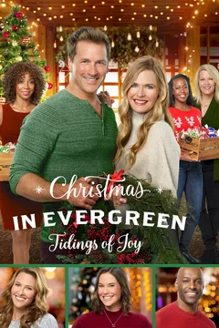 Affiche du film Le calendrier secret de Noël