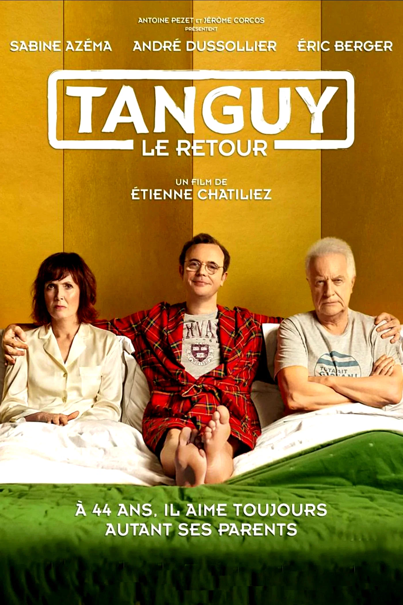 Affiche du film : Tanguy, le retour