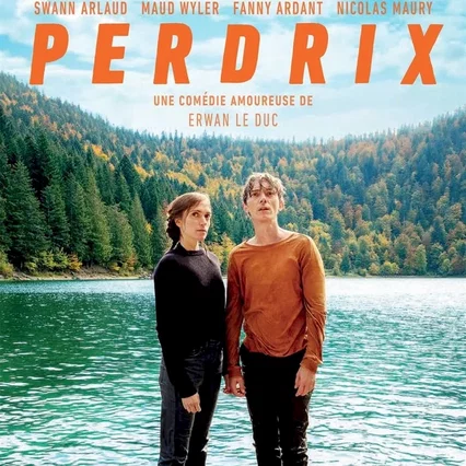 Miniature photo du film : Perdrix