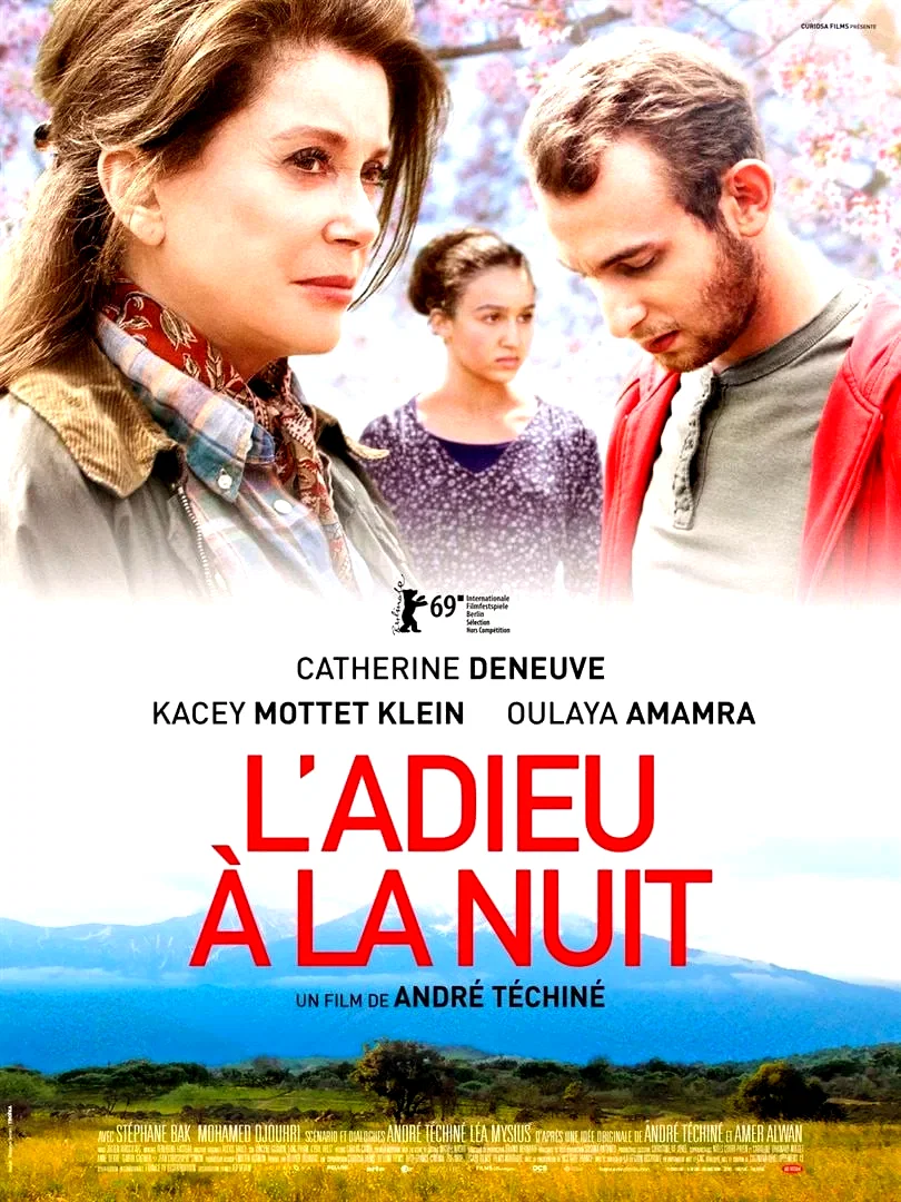 Photo du film : L’Adieu à la nuit