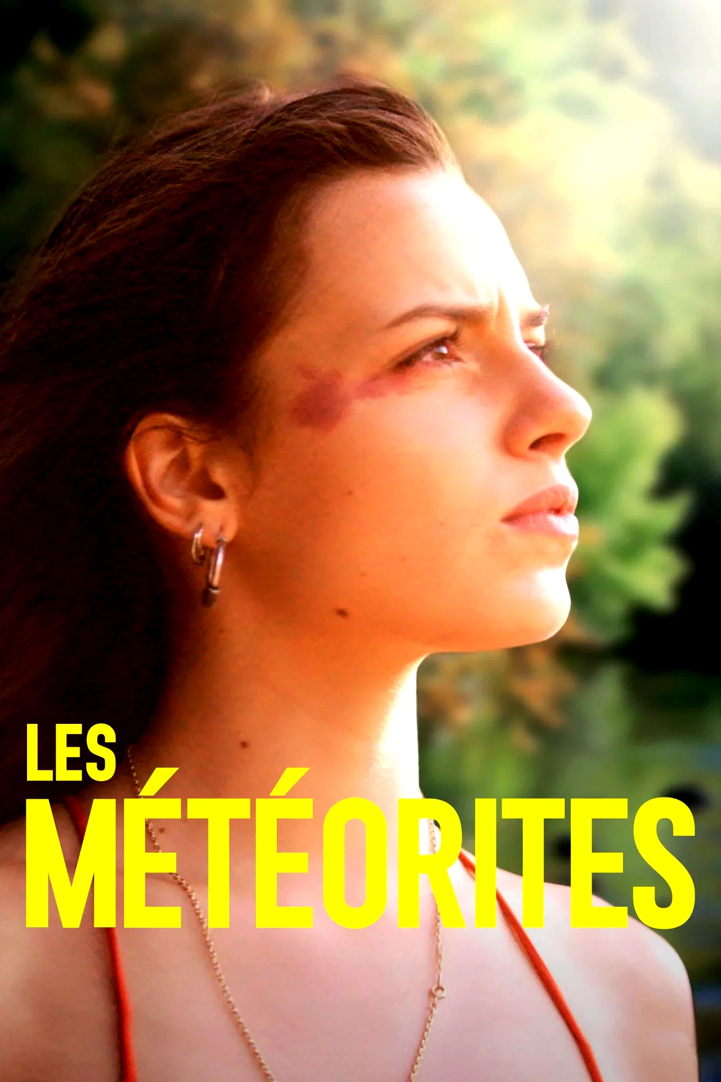 Affiche du film : Les Météorites