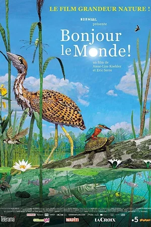 Affiche du film : Bonjour le monde !