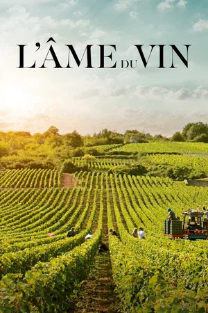 Affiche du film : L'âme du vin