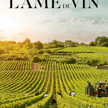 Miniature photo du film : L'âme du vin