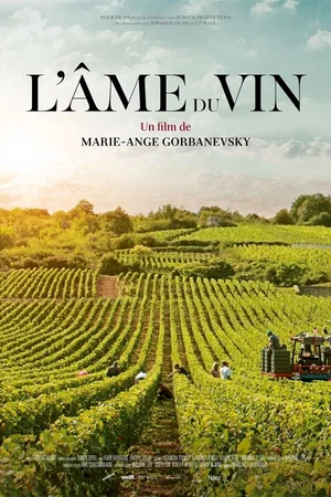 Photo 2 du film : L'âme du vin
