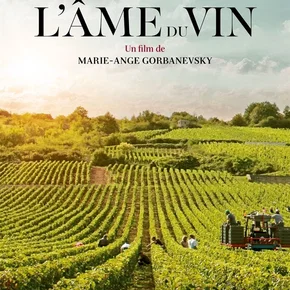 Photo du film : L'âme du vin