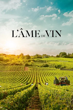 Photo 3 du film : L'âme du vin
