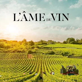 Photo du film : L'âme du vin