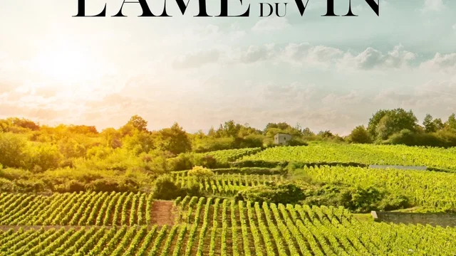 Affiche du film : L'âme du vin