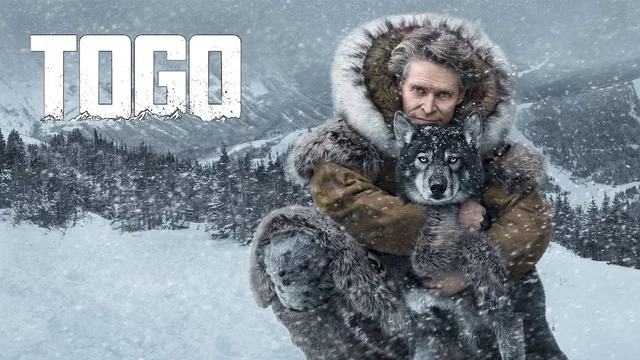 Affiche du film : Togo