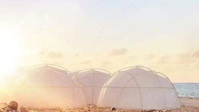 Affiche du film : FYRE : Le meilleur festival qui n'a jamais eu lieu