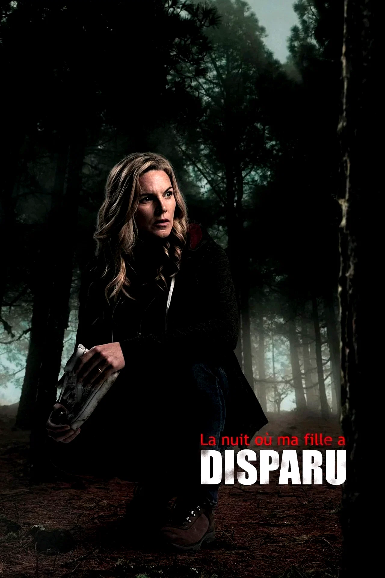 Affiche du film : La nuit où ma fille a disparu...