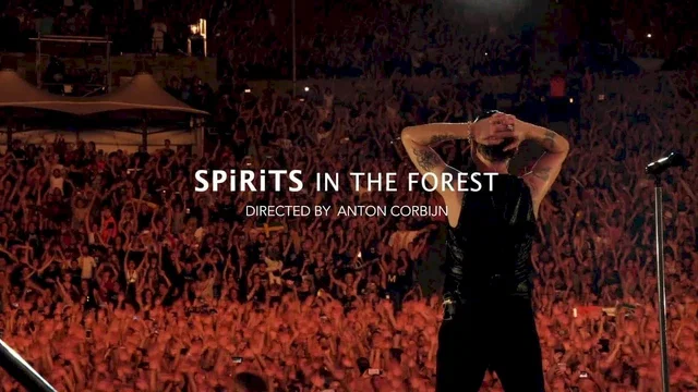 Affiche du film : Spirits in the Forest