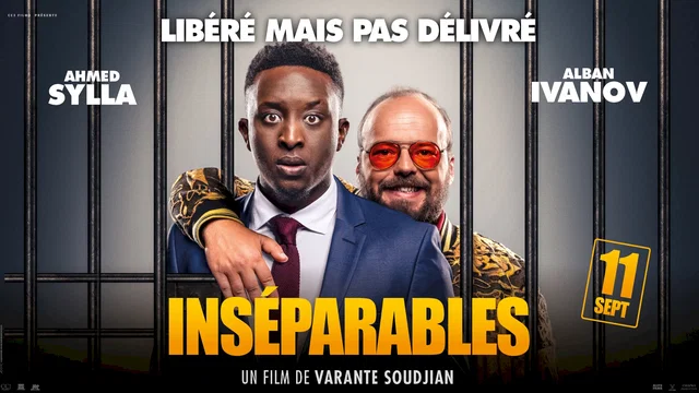 Affiche du film : Inséparables