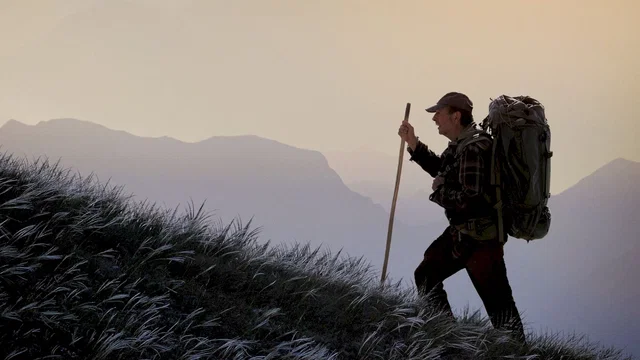 Affiche du film : Marche avec les loups