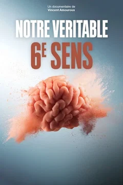 Affiche du film = Notre véritable 6e sens