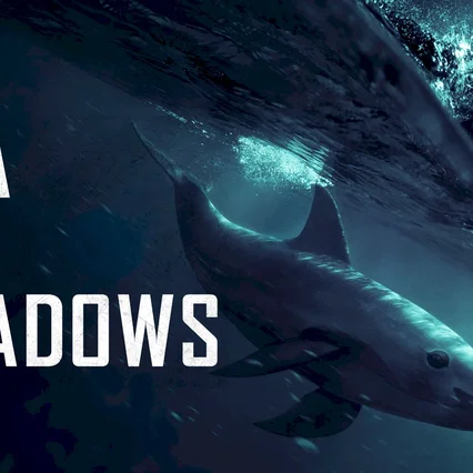 Miniature photo du film : Sea of Shadows