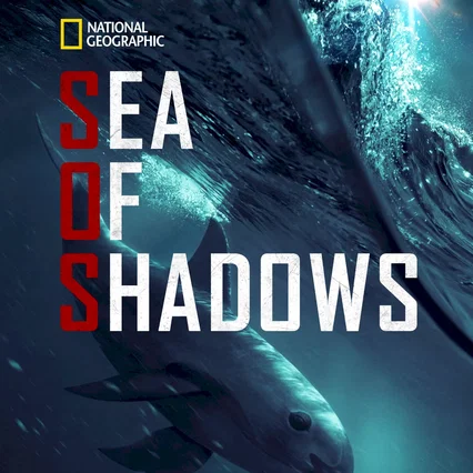 Miniature photo du film : Sea of Shadows