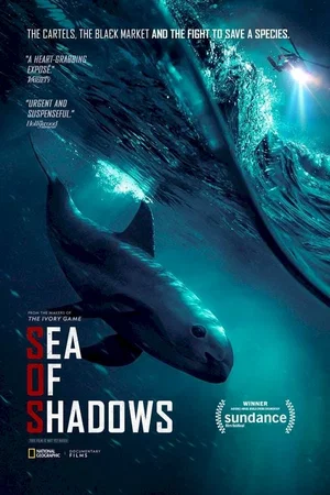 Photo 4 du film : Sea of Shadows