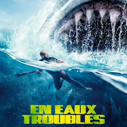 Miniature photo du film : En eaux troubles