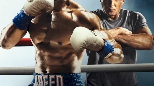 Affiche du film : Creed II
