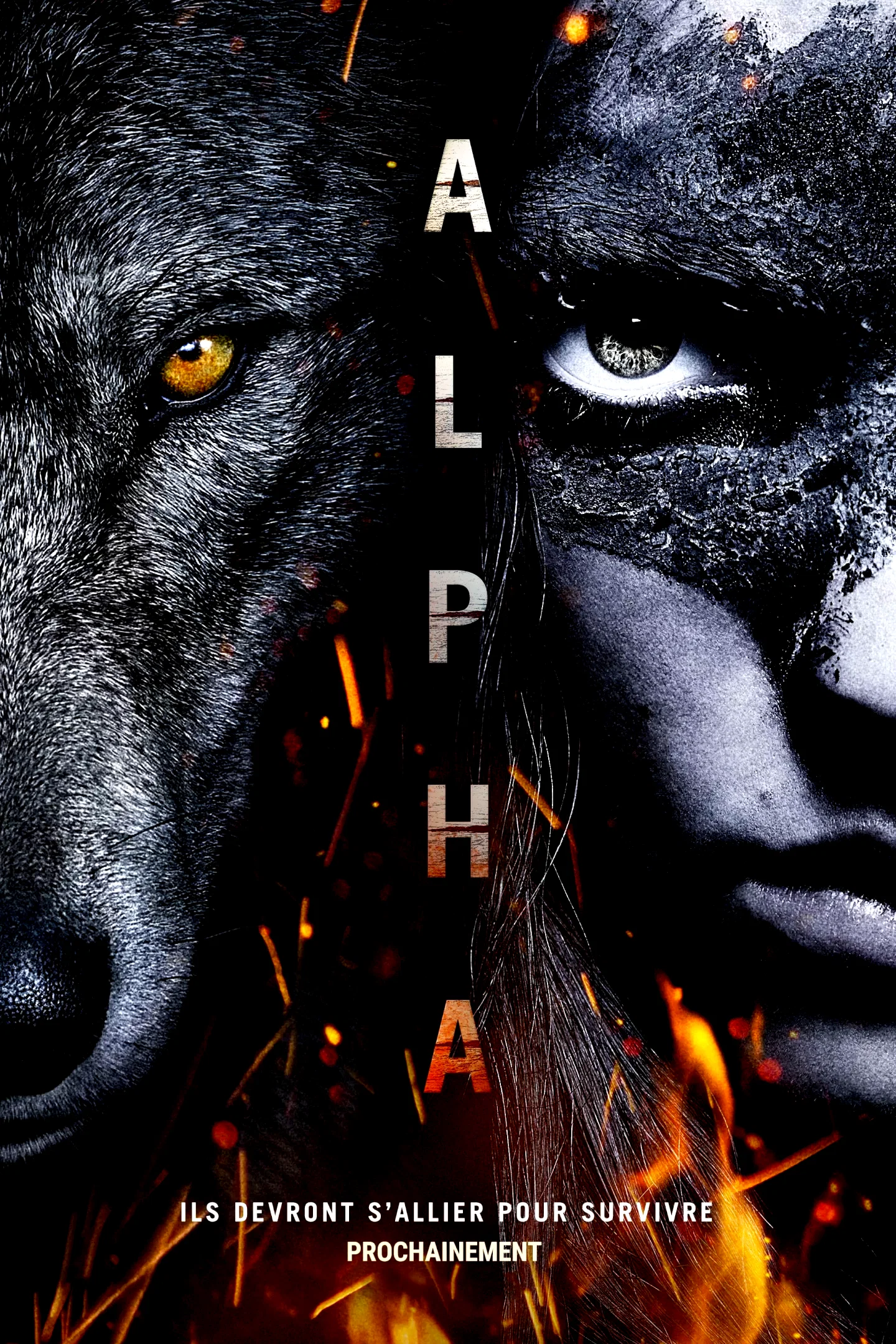 Photo 5 du film : Alpha