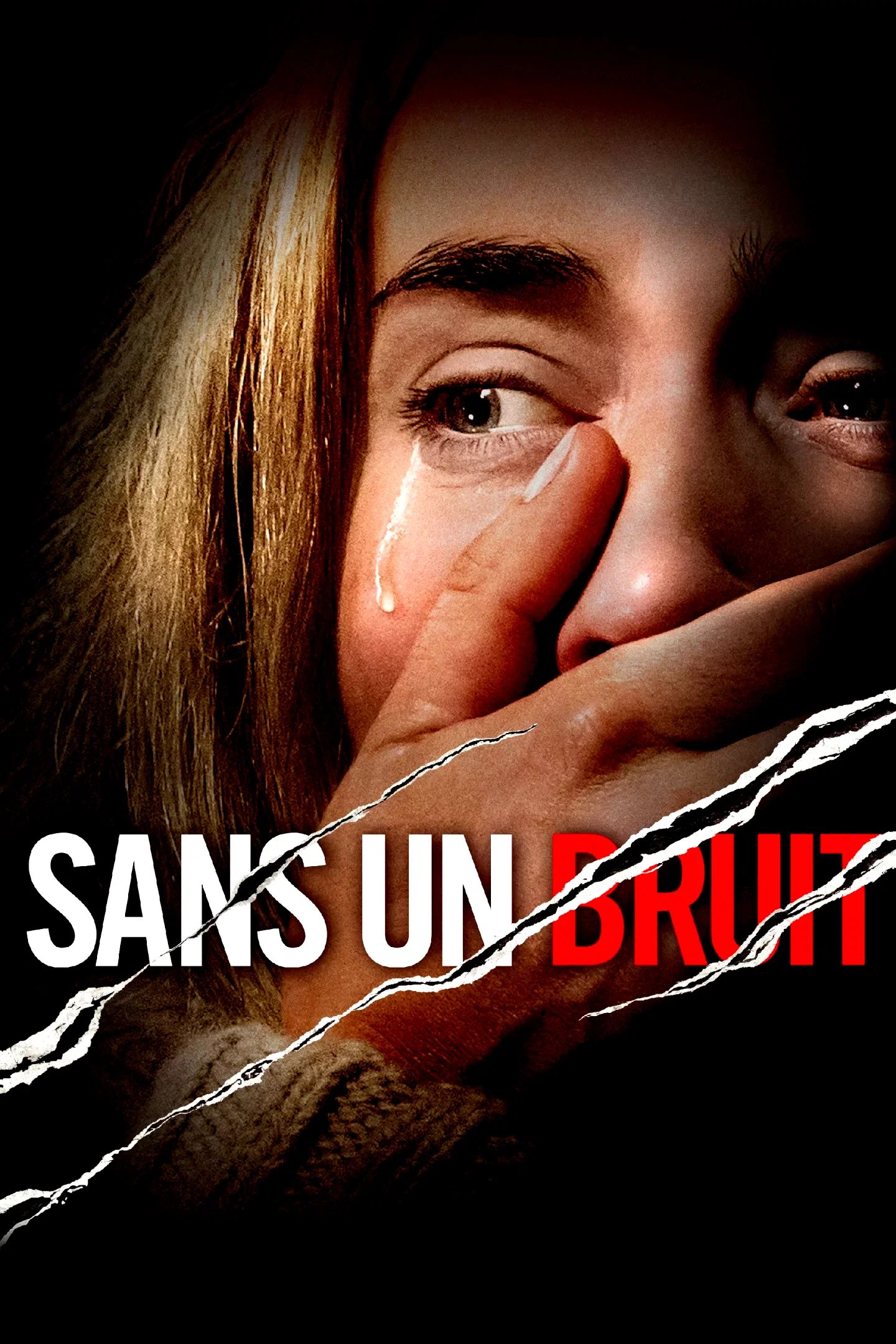 Affiche du film : Sans un bruit