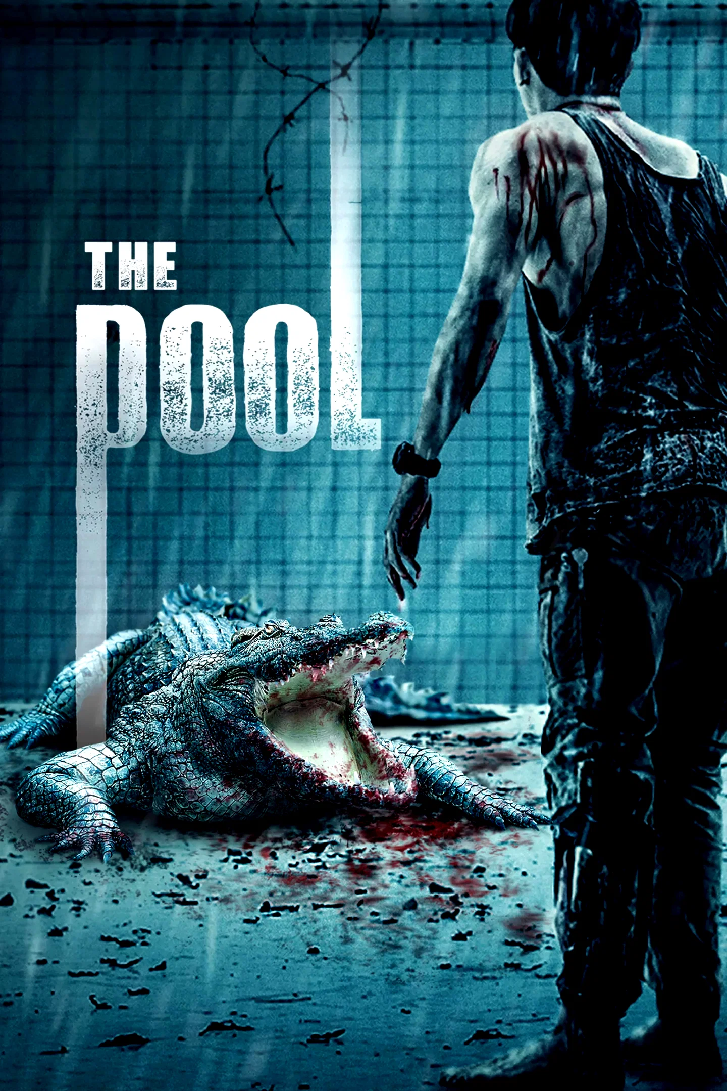 Affiche du film : The Pool