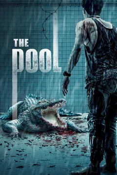 Affiche du film The Pool