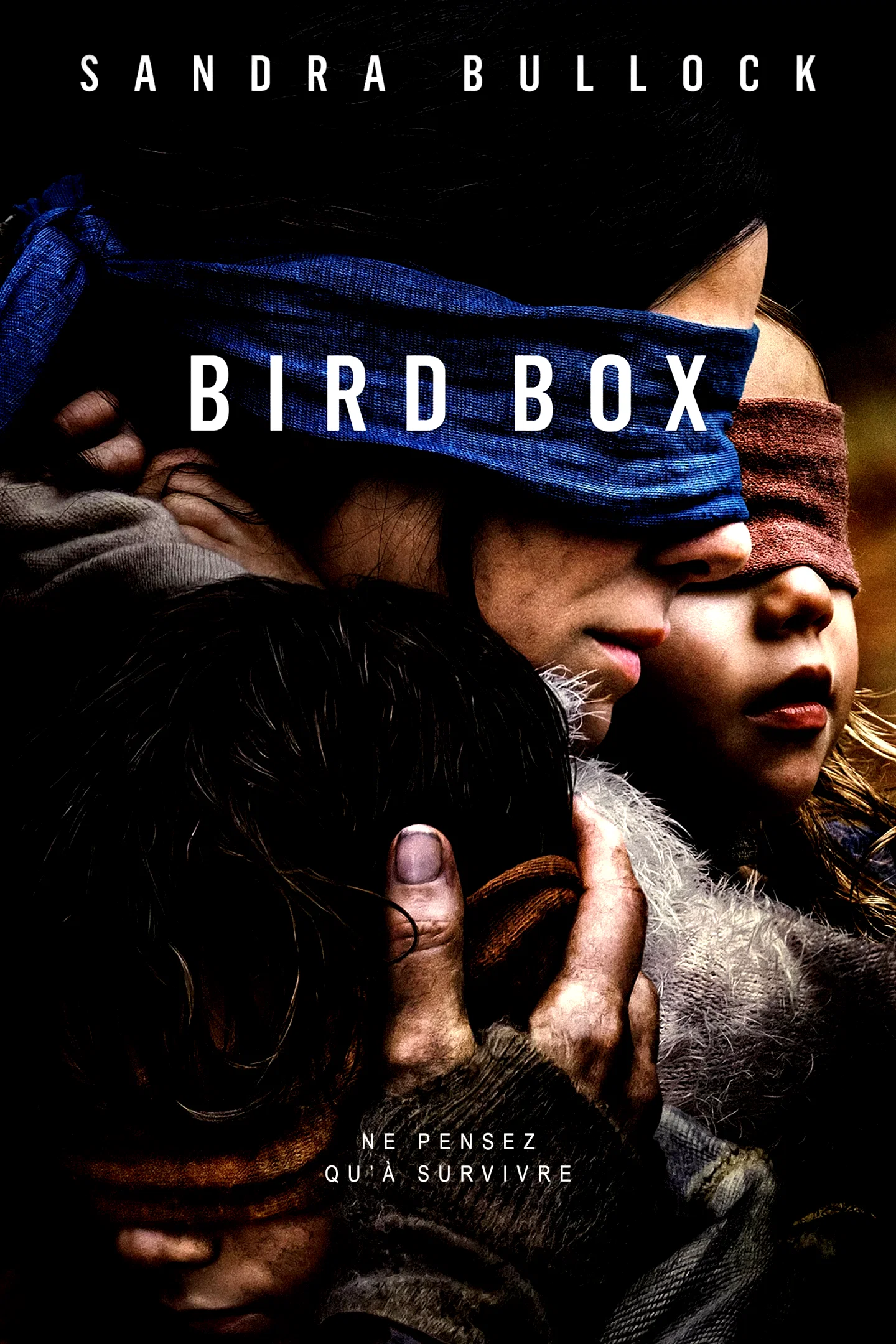 Affiche du film : Bird Box