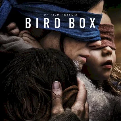 Miniature photo du film : Bird Box