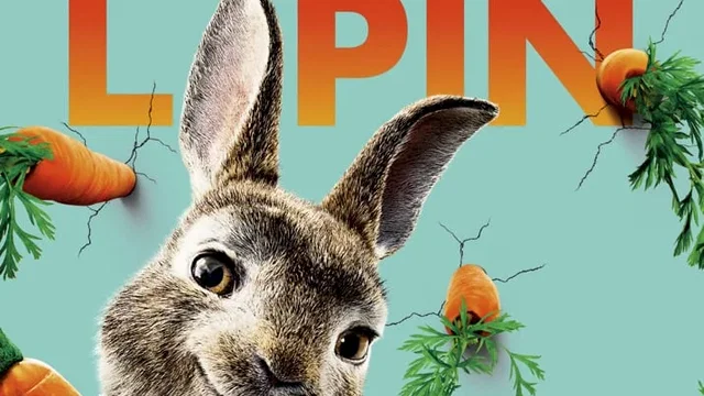Affiche du film : Pierre Lapin