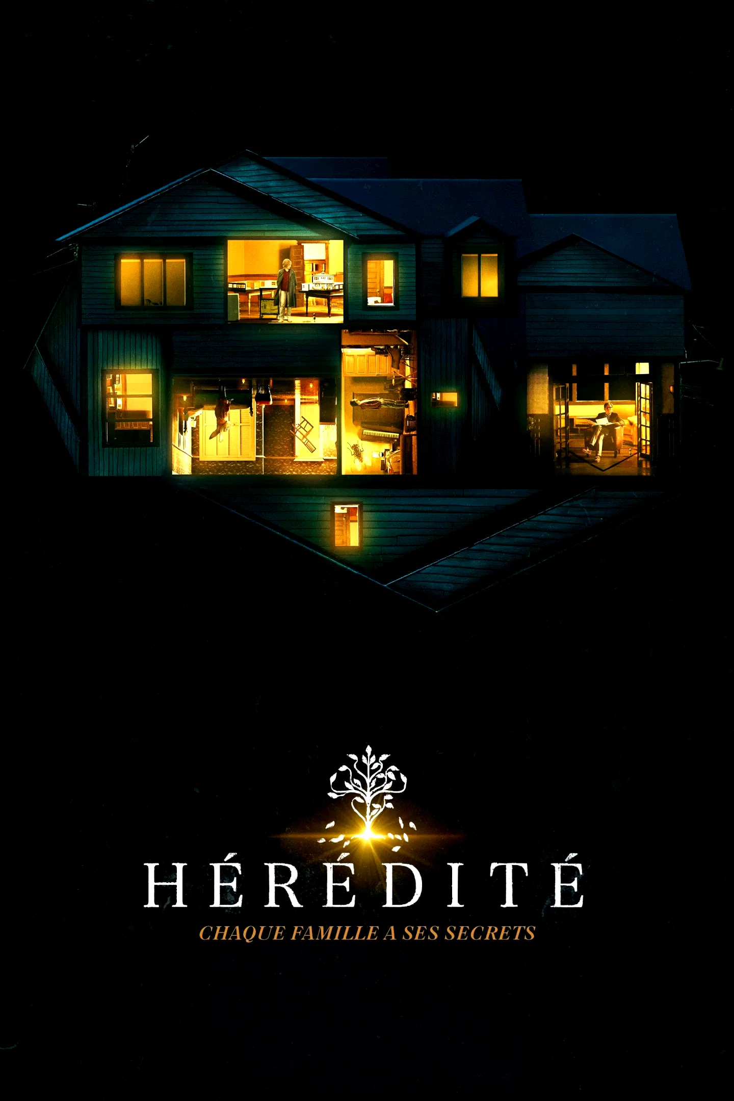 Affiche du film : Hérédité