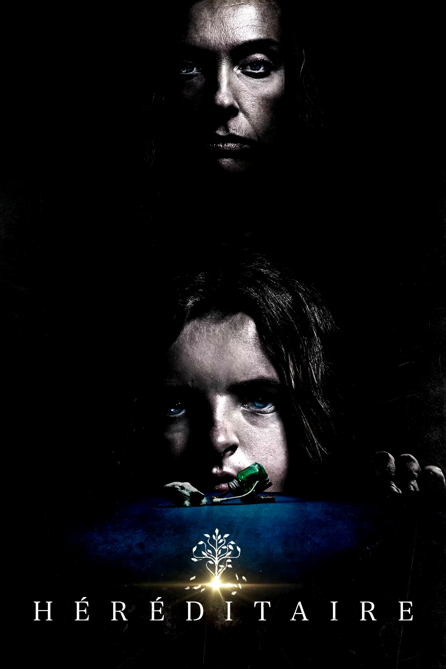 Photo du film : Hérédité