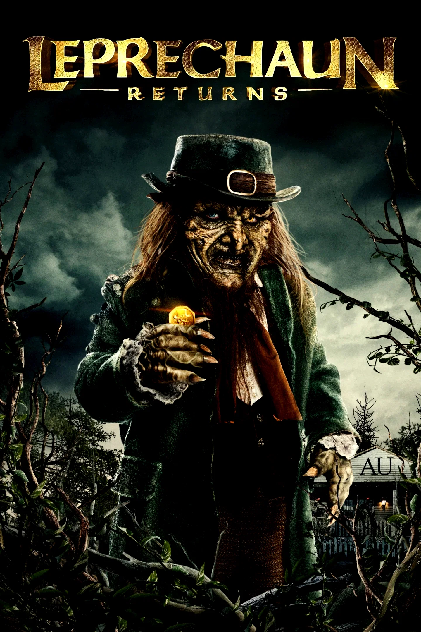 Affiche du film : Leprechaun Returns