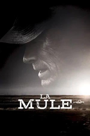 Affiche du film : La Mule
