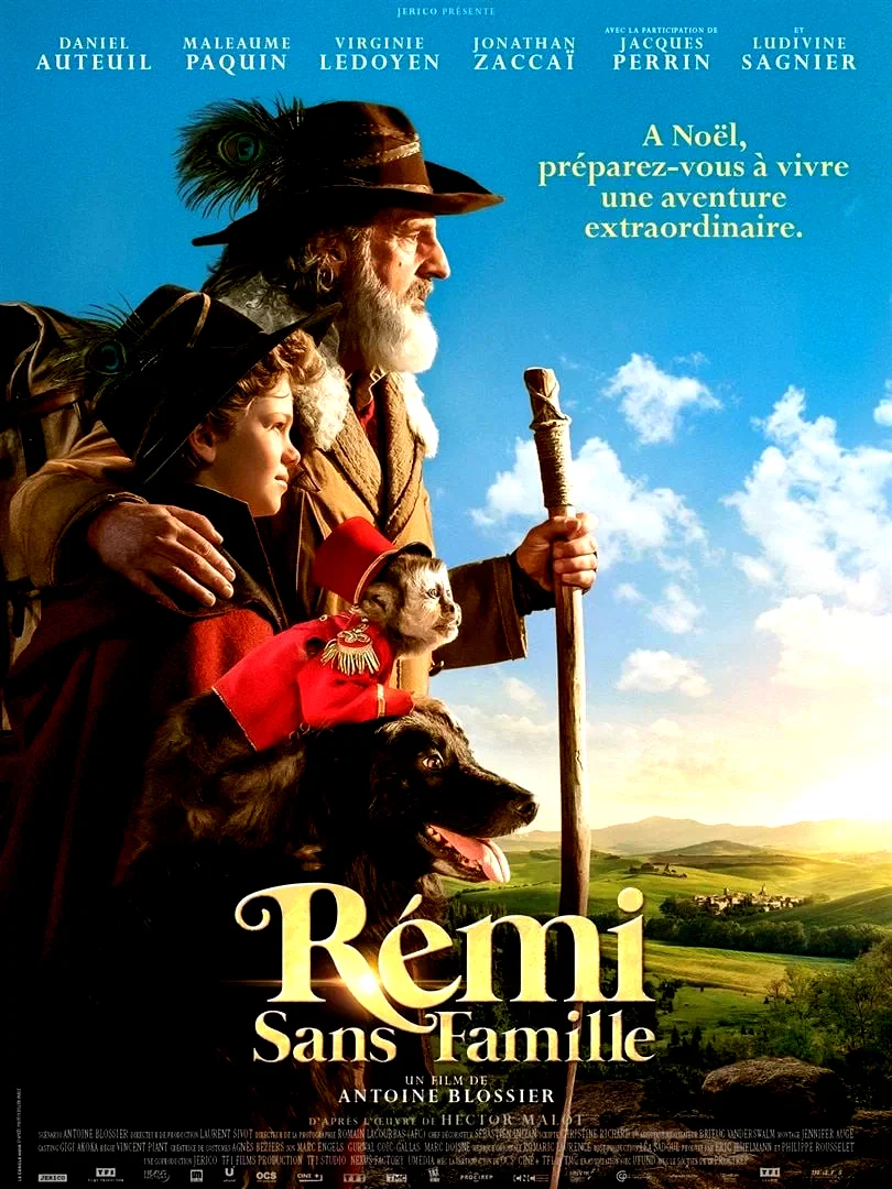 Photo du film : Rémi sans famille