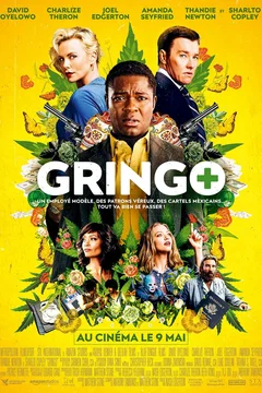 Affiche du film Gringo