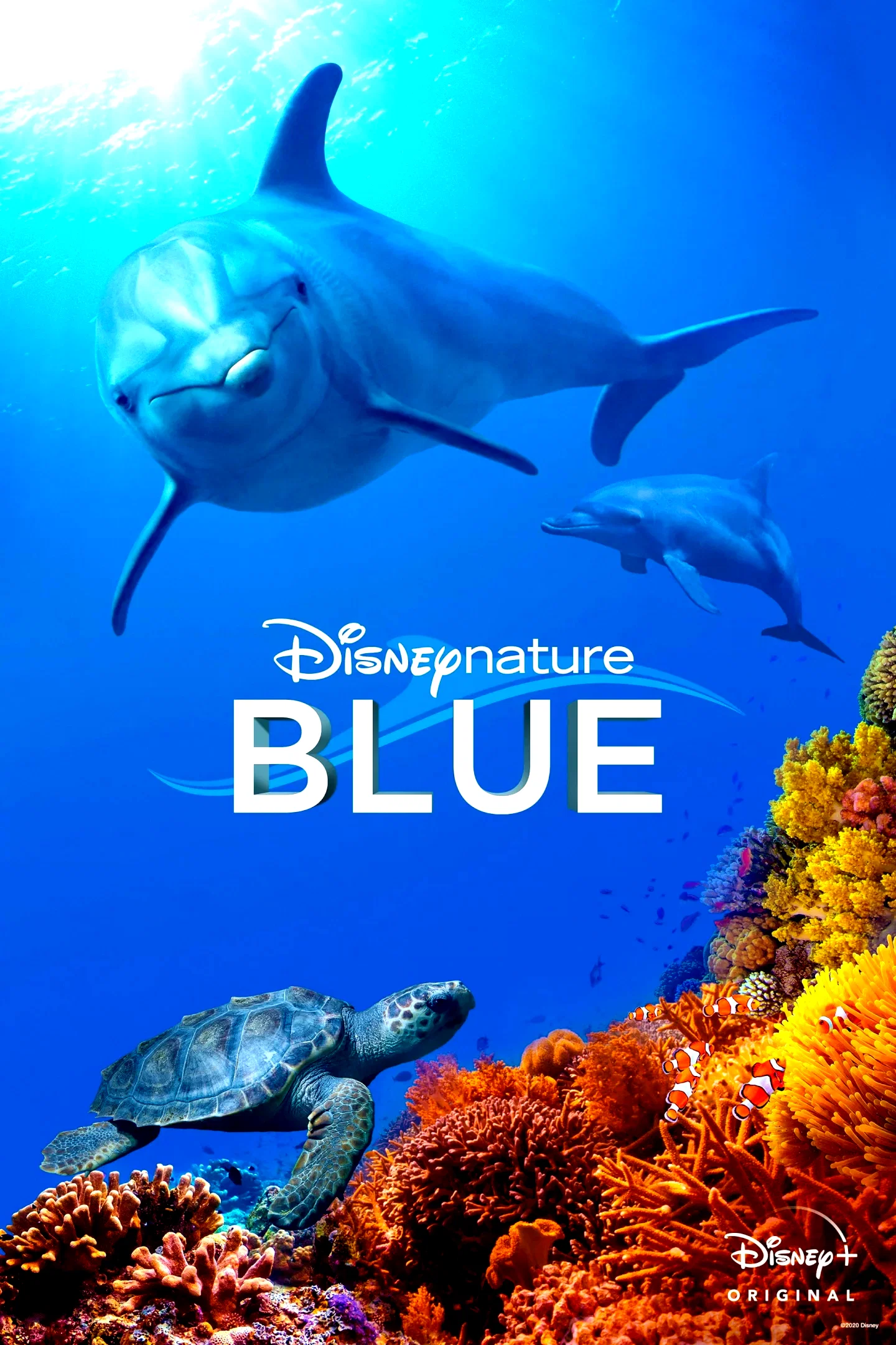 Affiche du film : Blue