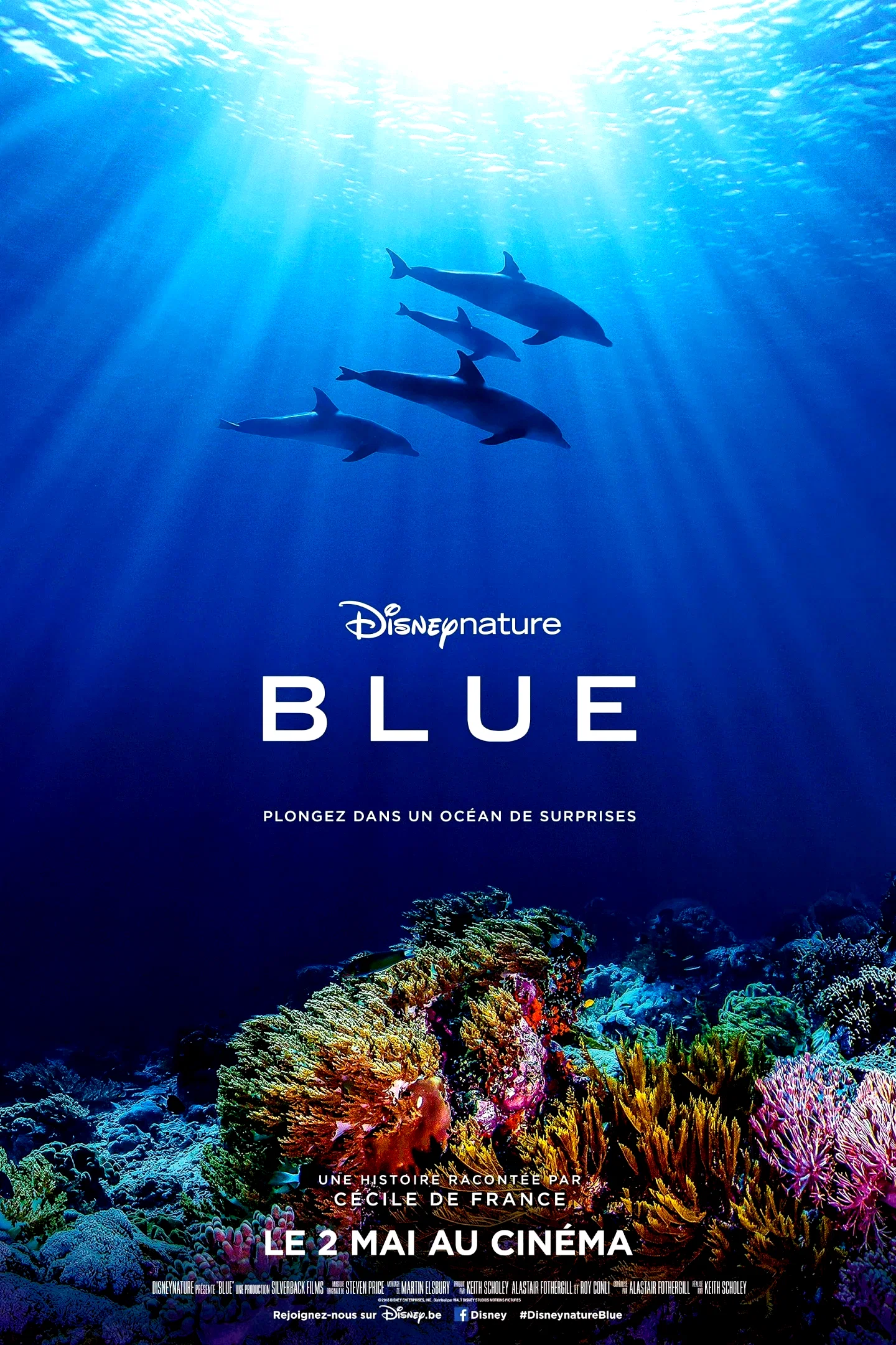 Photo 2 du film : Blue