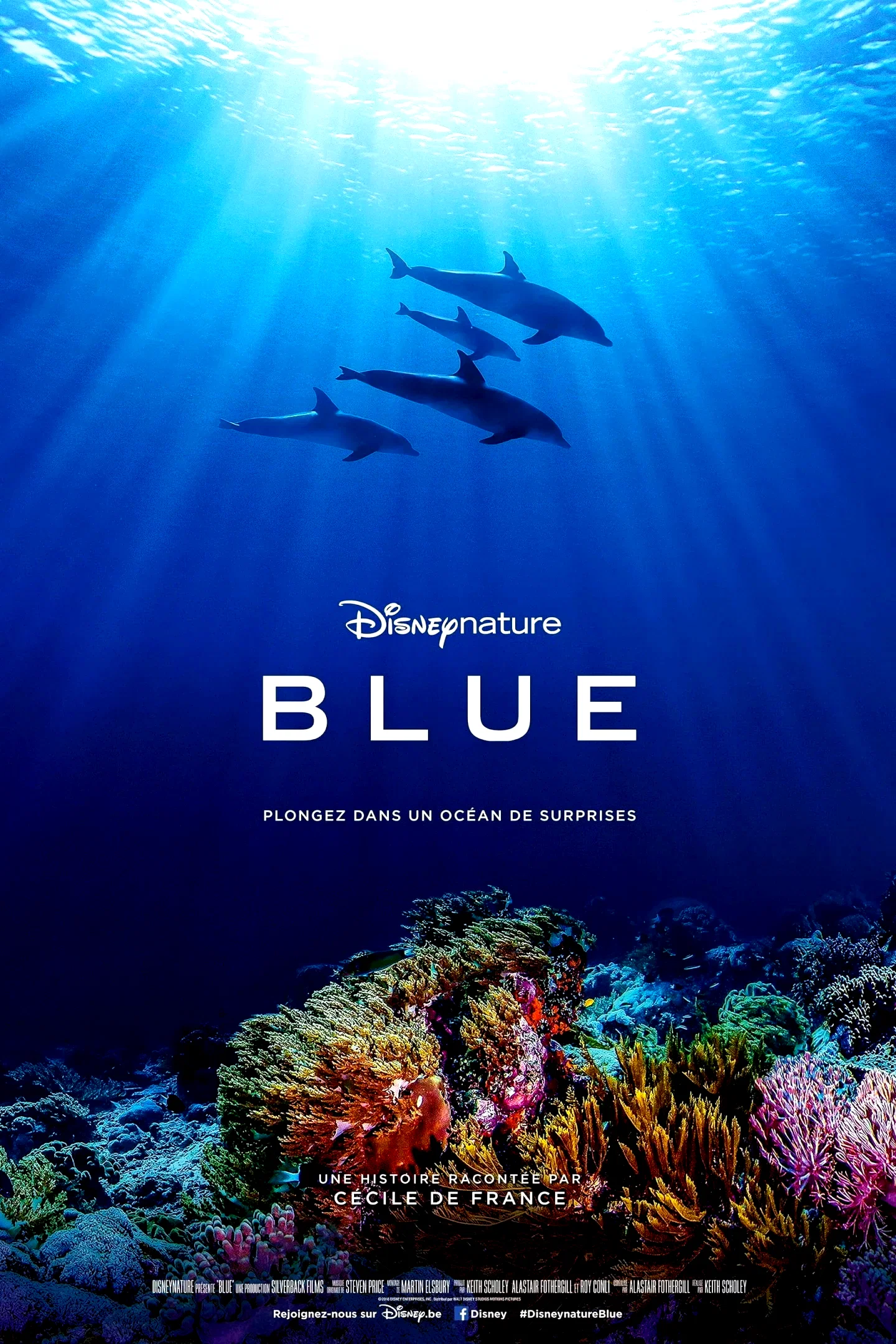 Photo 3 du film : Blue