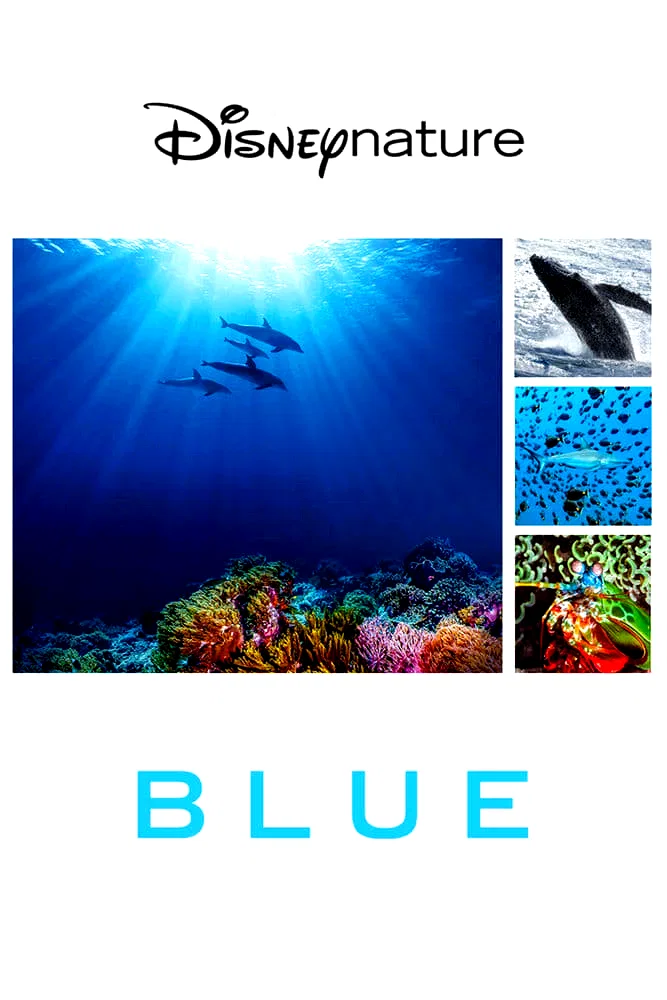 Photo 4 du film : Blue