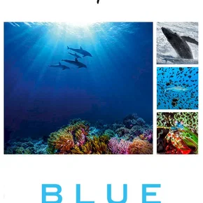 Photo du film : Blue