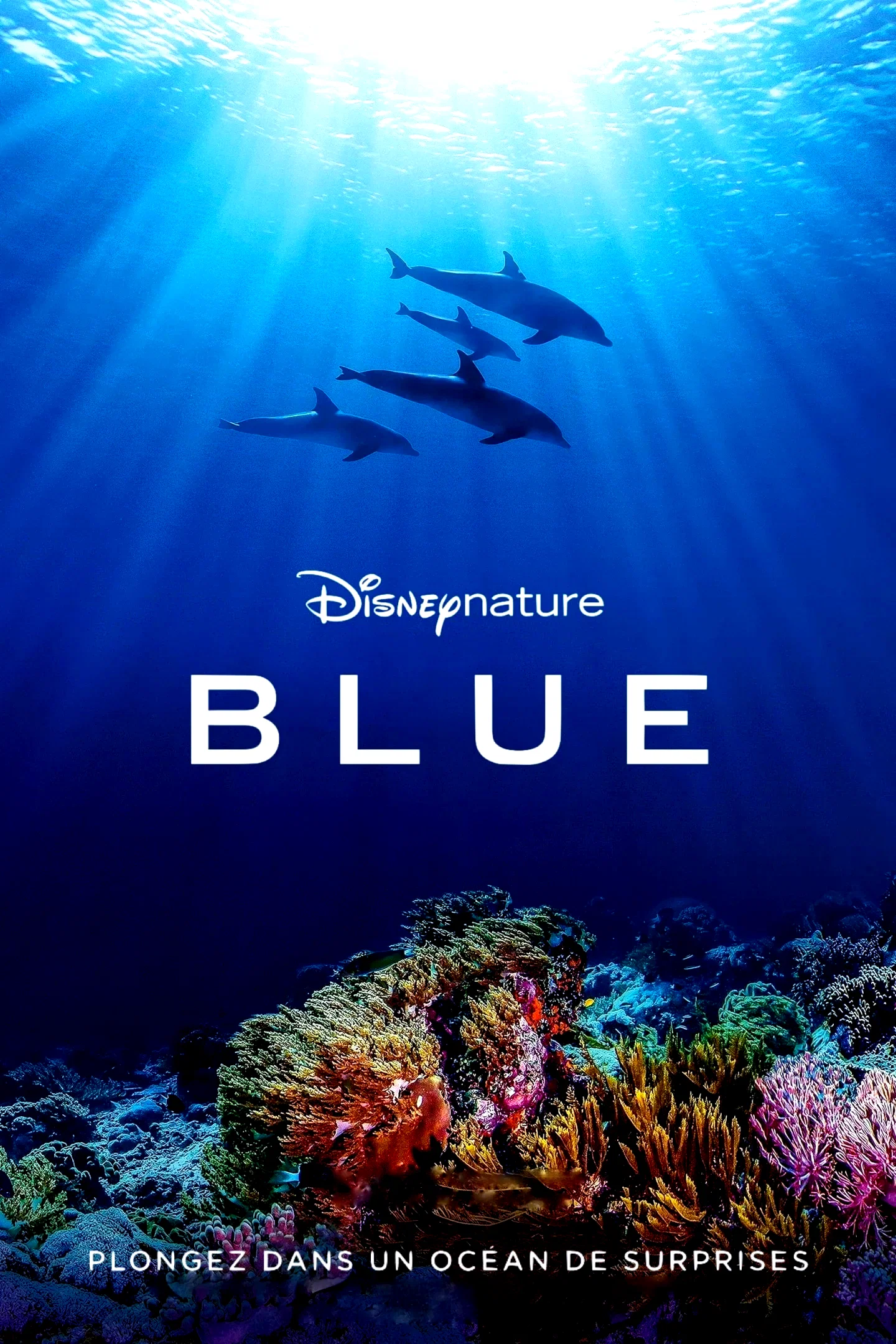 Photo 5 du film : Blue