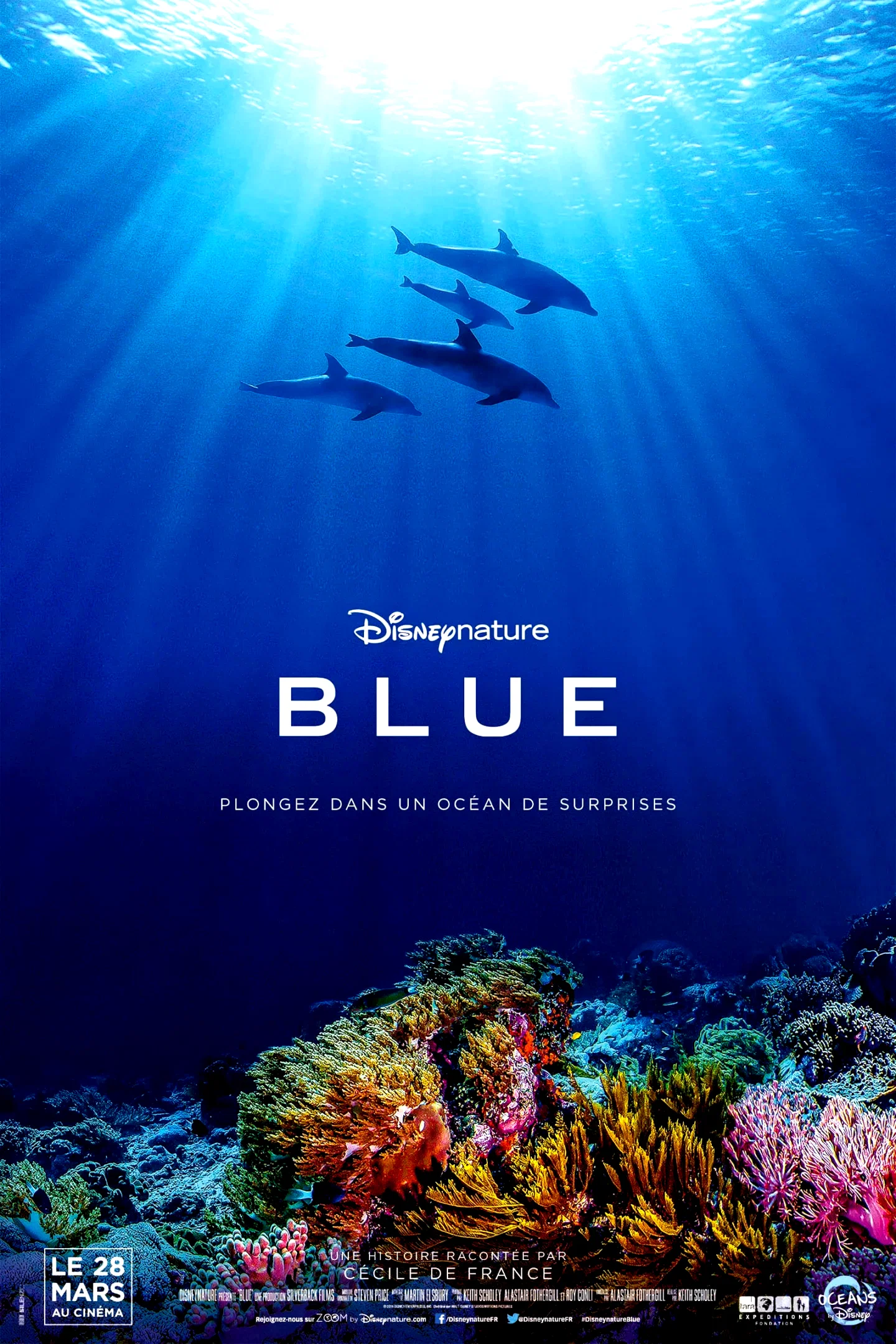 Photo 6 du film : Blue